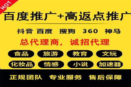 百度竞价广告投放实战案例分享